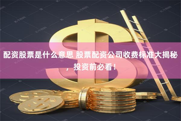 配资股票是什么意思 股票配资公司收费标准大揭秘，投资前必看！