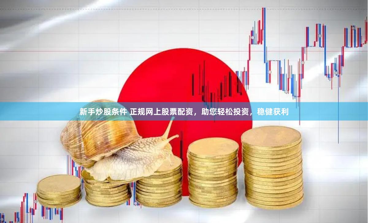 新手炒股条件 正规网上股票配资，助您轻松投资，稳健获利